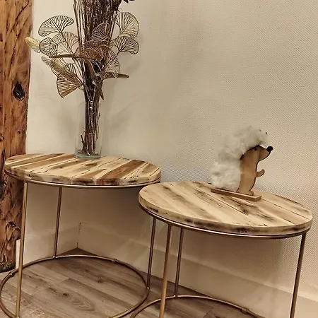 Alpissima - Esprit & Confort Moderne En Haute-savoie Appartement *